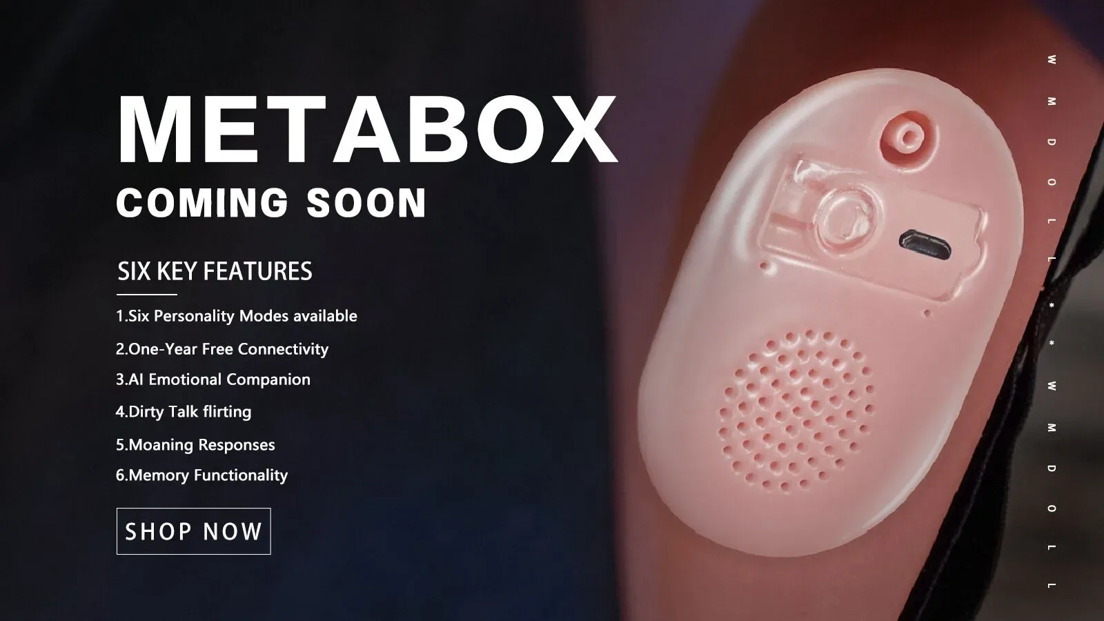 Metabox AI Chat: Interactive AI Experience